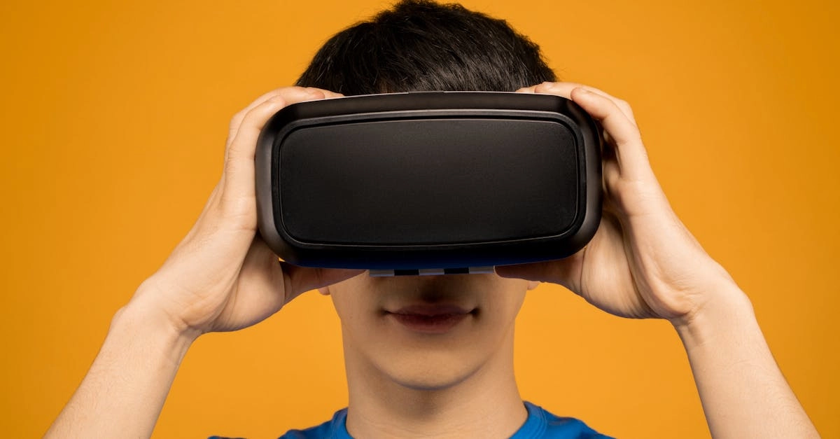 Концептуальный анализ игрового дизайна The Dog House в контексте арт-критики