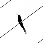 Концептуальный анализ визуальной эстетики Wild West Gold Megaways