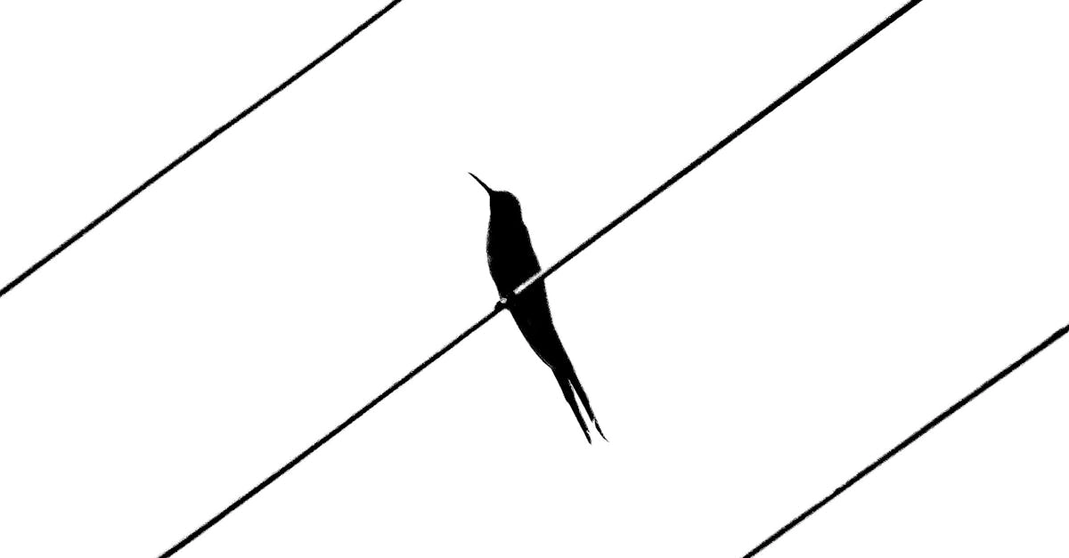 Концептуальный анализ визуальной эстетики Wild West Gold Megaways